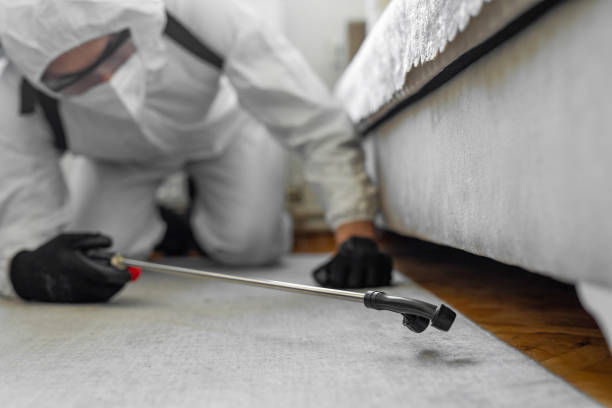 Professional Bed Bug Control technician working in Livingston, TX