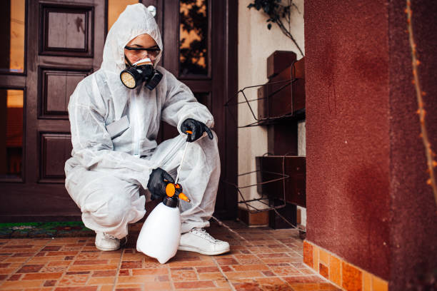 Reliable Bed Bug Control contractor in Livingston, TX by Nex Pest Control