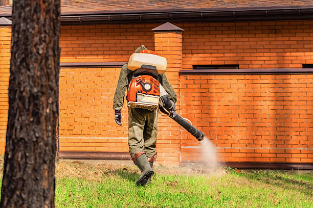 Trusted Ant Control service in Livingston, TX - Nex Pest Control